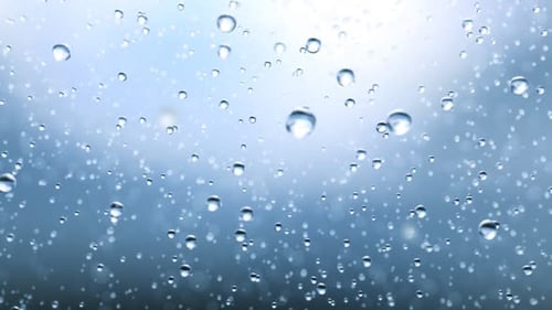 Beautiful Rain Drops Fall in . Loop