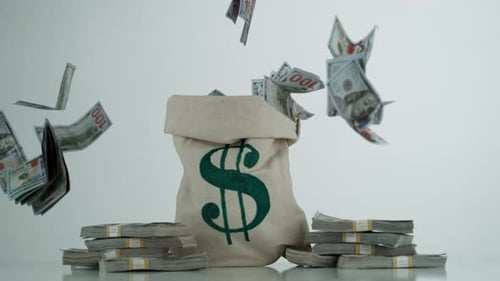 Money bag with falling dollar bills, abundance