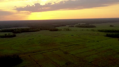 Aerial tracking view of the countryside of Land O' Lakes in Florida with a beautiful orange sky.