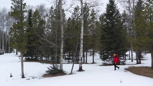 Drone Tracking of Woman Walking Through Forest in Snow