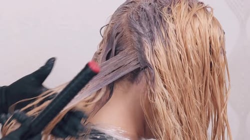 Back View of Hair Coloring Hands Spread the Dye Through the Hair with a Comb