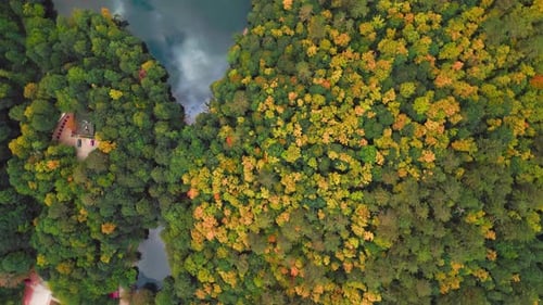 Bosque y lago otoñales - 4K