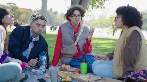 College Friends Discussing Study Day during Picnic in the Park