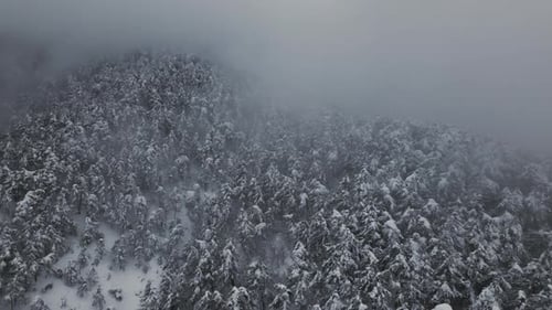 Montagnes enneigées et brouillard - 2K
