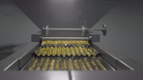 Pharmaceutical Production of Pills and Drugs on Manufacturing Line