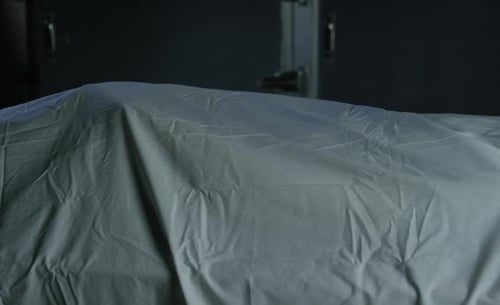 Area 51 Alien Autopsy - Visitor breathing on gurney in hospital