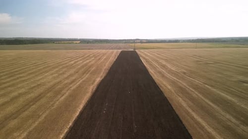 Wheat field aerial view in Ukraine