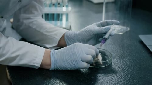 Close-up of Unknown Scientist Giving Injection to Lab Mouse with Syringe