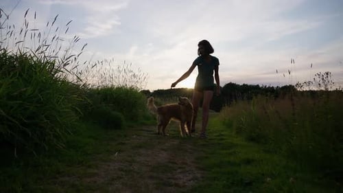 Mujer paseando con su perro por un pintoresco sendero rural en la hora dorada