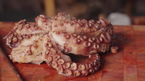 Close Up of a Freshly Cooked Octopus