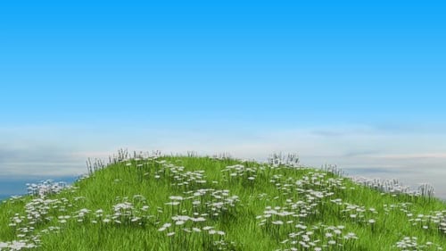 Animated Green Hill with White Daisies under Blue Sky Loop