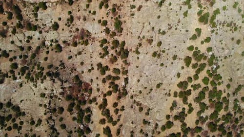 Aerial Top Down View Revealing an Abandoned Fortress Media