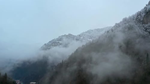 Misty Snow Covered Mountain Valley and Forest in Winter