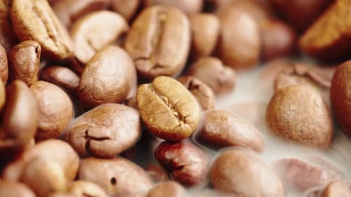 Roasting Coffee Beans with Smoke on Dark Background Close Up Arabica Robusta Colombian Beans