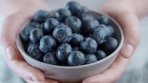 Bowl of Fresh Blueberries Held in Hands