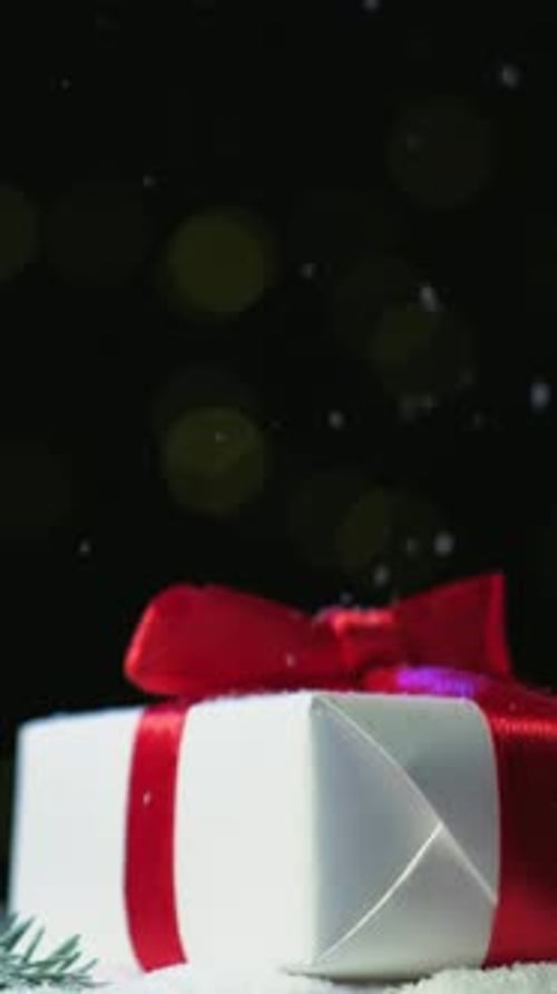 Vertical Winter Holiday Christmas Box Ribbon Snowy