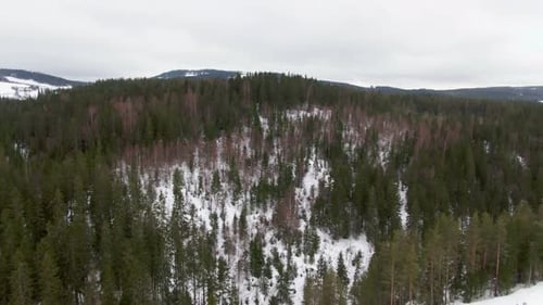 Aerial view over forest and mountains in winter climate