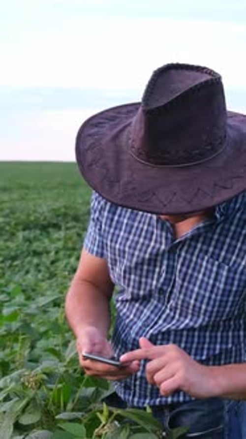 Um fazendeiro diligente usa seu smartphone em um campo verde vibrante que abraça a agricultura moderna para