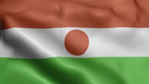 Niger Flag Waving Seamless Loop