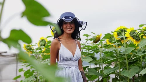 blue dress with sunflowers Sunflower Maxi Dress