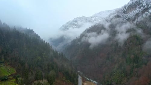 Misty Snow Covered Mountain Valley and Forest in Winter