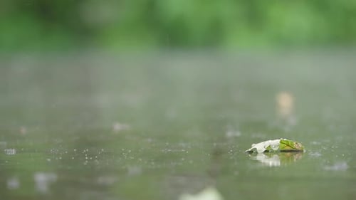 Summer Rain Drops Falling on Terrace Floor with Reflecting Garden