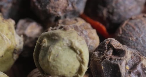 Peppercorns or mixture of peppers spice. Red, white black and green hot pepper Super Macro Close Up