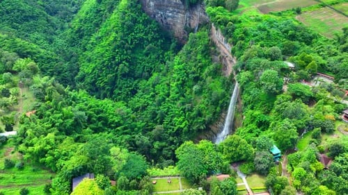 Lush Green Forest and Waterfall From Above