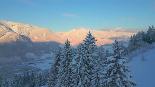 Winter Wonderland: Snow-Covered Mountains and Trees