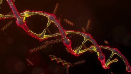 Conceptual design of genetic information for science animation