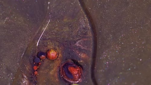 Abstract Colorful Liquid Mixing and Bubbling Macro