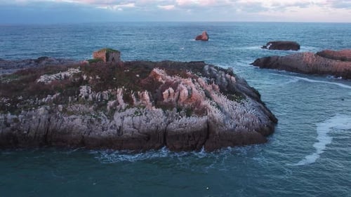 circular drone flight around a rocky island in a blue ocean completely populated by seagulls