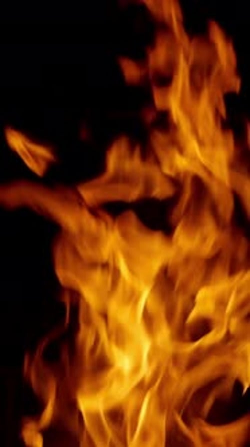 Close Up of Vibrant Orange Flames Flickering Against a Black Background