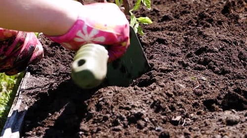 Young female gardener with sexy hands cultivates and prepares land with cultivation tool for plantin