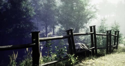 Misty Morning Landscape with a Wooden Fence Bordering a Tranquil Forest Path