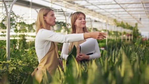 Women Discussing Plants in Sunny Greenhouse Setting