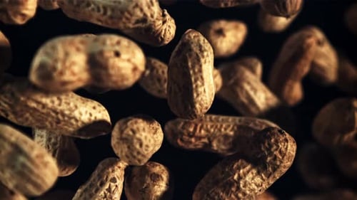 Close-Up Shot of Textured Peanuts
