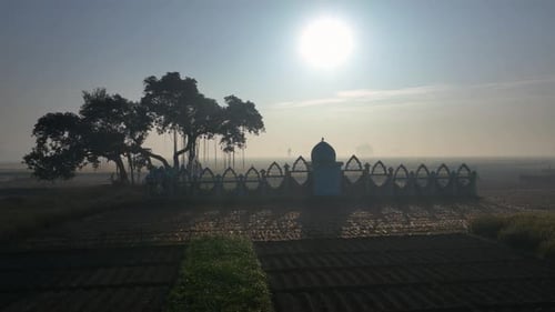 Vue aérienne d'un sanctuaire avec un arbre, Bangladesh.