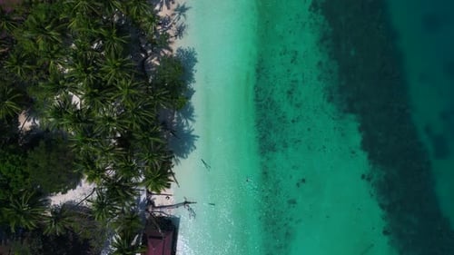 boats, turquoise sea, tropical palm tree beach. Majestic aerial view flight drone