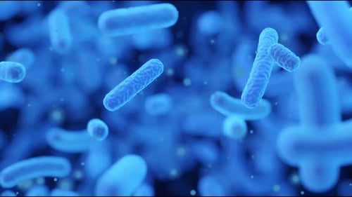 Microscopic View of Bacteria in Blue Environment