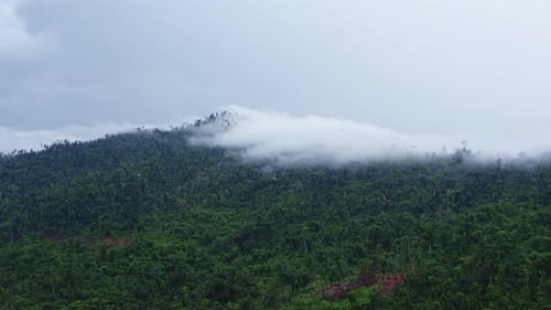 Green Mountains Covered in Dense Cloud Forest
