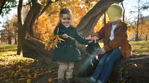 Happy family in an autumn park. Brother and sister sitting on a tree trunk and petting their dog, ye