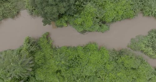 Aerial view of a winding river cutting through a dense green forest with lush trees stretching endle