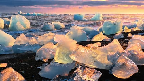 Icebergs Shining on a Black Beach During Golden Hour Sunrise on Diamond Beach in Iceland Clear Ice