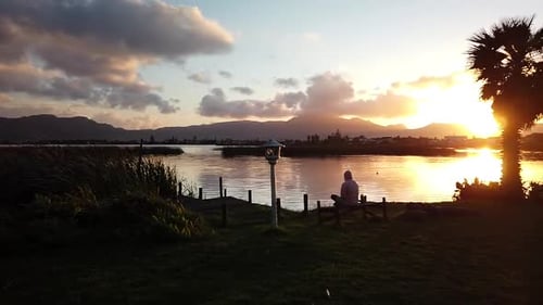 Man sitting by lake and palm tree at sunset
