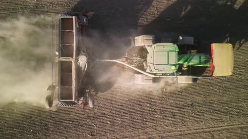 Tractor on the field seeding wheat