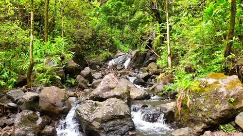 Sieben heilige Pools, Ohio Maui, Hawaii.