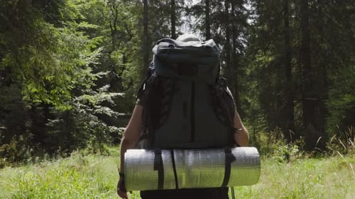 Unrecognizable Traveler with Backpack Trekking Stick Walking in Forest in Daylight