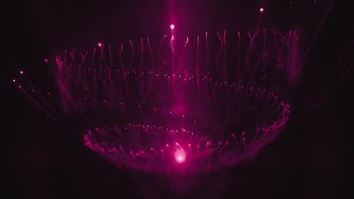 Futuristic Glowing Particles Forming Abstract Logo Reveal Intro