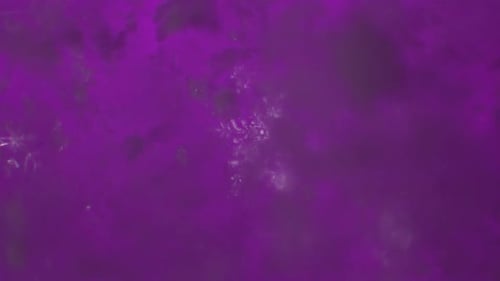 Snowflake closeup, frozen ice snow formation on multi-coloured surface, concept